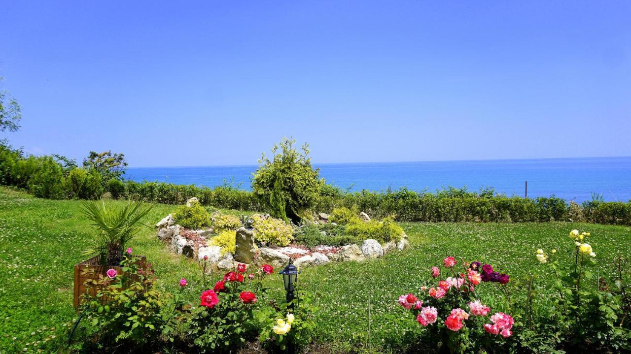 Бяла Клиф Форест - Byala Cliff Forest מראה חיצוני תמונה
