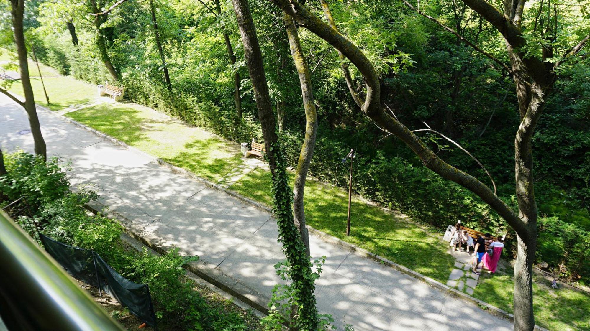 Бяла Клиф Форест - Byala Cliff Forest מראה חיצוני תמונה
